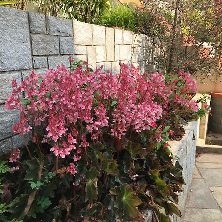 Robin Woods Homestay Sakleshpur Buitenkant foto