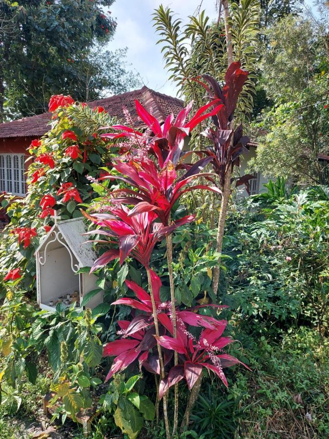 Robin Woods Homestay Sakleshpur Buitenkant foto
