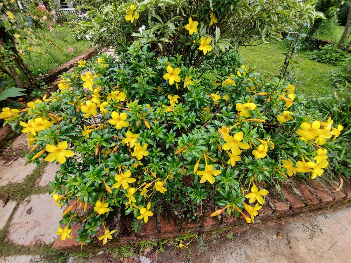Robin Woods Homestay Sakleshpur Buitenkant foto