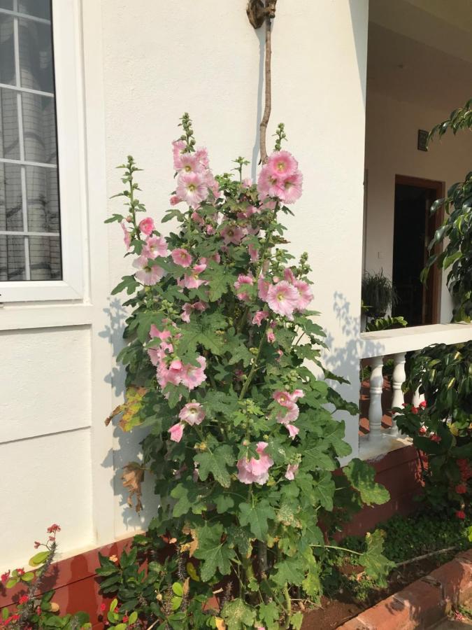 Robin Woods Homestay Sakleshpur Buitenkant foto