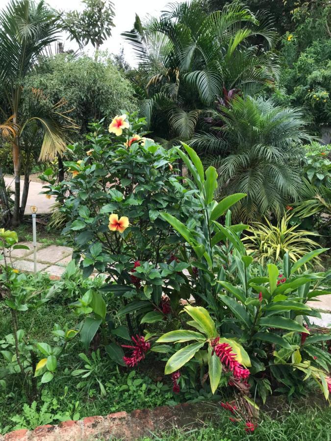 Robin Woods Homestay Sakleshpur Buitenkant foto